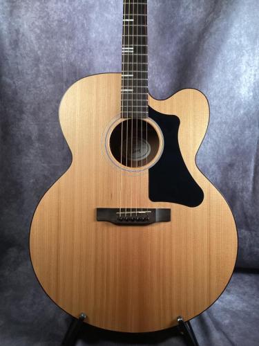 Gibson Generation Collection G-200EC