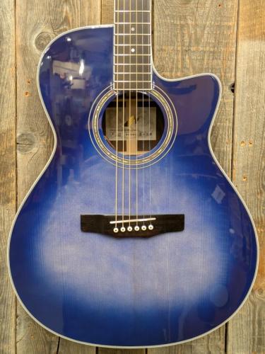 Morris R-14G SBU 【L.R.Baggs Element搭載】