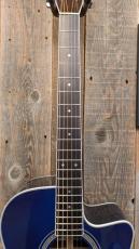 Morris R-14G SBU 【L.R.Baggs Element搭載】_6