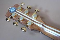 Terry's Terry Premium Terry PTJ-100GM /　Head and Body Abalone Trim and Rosette・German Spruce Top・Madagascar Rosewood Side and Back・Tortoiseshell Pick-guard・Honduras Mahogany and Maple Neck【With Original Hard Case】 _10