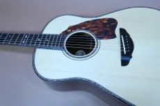 Terry's Terry Premium Terry PTJ-100GM /　Head and Body Abalone Trim and Rosette・German Spruce Top・Madagascar Rosewood Side and Back・Tortoiseshell Pick-guard・Honduras Mahogany and Maple Neck【With Original Hard Case】 _12