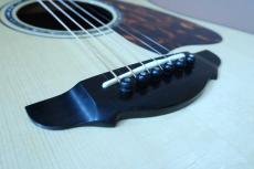 Terry's Terry Premium Terry PTJ-100GM /　Head and Body Abalone Trim and Rosette・German Spruce Top・Madagascar Rosewood Side and Back・Tortoiseshell Pick-guard・Honduras Mahogany and Maple Neck【With Original Hard Case】 _14