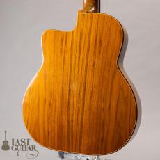 J.Castelluccia Daphne_10