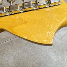 Fender Japan MG69_11