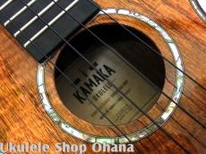Kamaka [HF-2D2i]コンサートデラックス #210015_11
