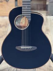 aNueNue aNN-M77E #AL04170【実物写真】【店頭未展示品】《高性能ケーブルプレゼント!》【ONLINE STORE】_2