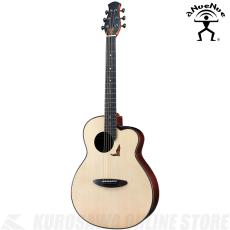 aNueNue aNN-LS700E《フルサイズ/21フレット/オール単板/ピックアップ搭載》【高性能ケーブルプレゼント!】【ONLINE STORE】
