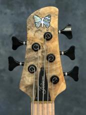 Fodera Emperor 5st Bont-On Custom Buckeye Burl_3
