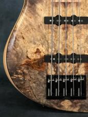 Fodera Emperor 5st Bont-On Custom Buckeye Burl_8
