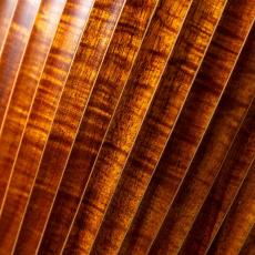 Daisaku Ukulele Renaissance Concert Koa_10