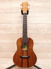 Big Island KM-TRG 【テナー/ハワイアンコア】【KM Modernish Series】【24回金利0%対象】【送料込】_2