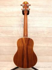 Big Island KM-TRG 【テナー/ハワイアンコア】【KM Modernish Series】【24回金利0%対象】【送料込】_11