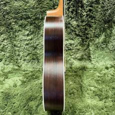 Martin GPC-16E Rosewood #2990695_5