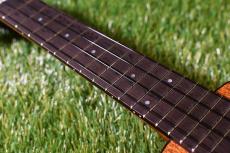 HAMAGEN S-020 Soprano_7