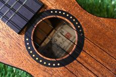 HAMAGEN S-020 Soprano_11