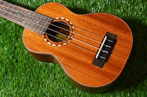 DCT DUS-600M Soprano