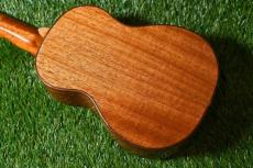 DCT DUS-600M Soprano_3