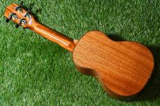 DCT DUS-600M Soprano_4