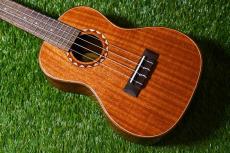 DCT DUC-600M Concert