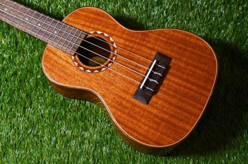 DCT DUC-600M Concert