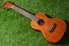 DCT DUC-600M Concert_2