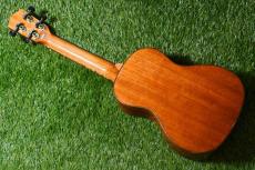 DCT DUC-600M Concert_4