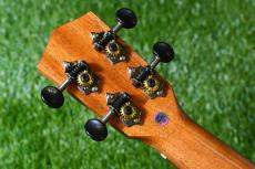 DCT DUC-600M Concert_6