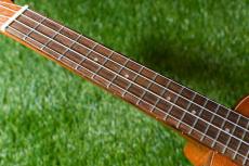 DCT DUC-600M Concert_7