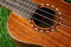 DCT DUC-600M Concert_9