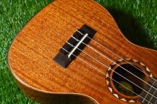 DCT DUC-600M Concert_10