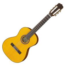 ARIA A-20S-53 Basic(Mini)【オンラインストア限定】