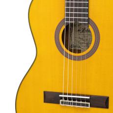 ARIA A-20S-53 Basic(Mini)【オンラインストア限定】_3