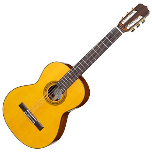 ARIA A-20S Basic【オンラインストア限定】