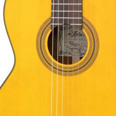 ARIA A-20S Basic【オンラインストア限定】_3