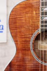 Takamine TSP178AC K【送料当社負担・最大48回分割無金】_4