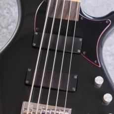 FREEDOM CUSTOM GUITAR RESEARCH Dulake Libero 5st Mod. 【3.89kg】_5