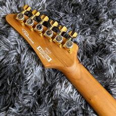 Ibanez KRYS10 Scott LePage Signature Model 【WINTER SELECTION特価】【2025年製】_7