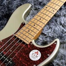 Bacchus WJB5-1DX-AC RSM/M MDG (Misty Dawn Gold) 【アウトレット特価】【ステンレスフレット】【5弦】_4