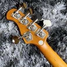 Bacchus WJB5-1DX-AC RSM/M MDG (Misty Dawn Gold) 【アウトレット特価】【ステンレスフレット】【5弦】_6