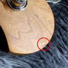 Bacchus WJB5-1DX-AC RSM/M MDG (Misty Dawn Gold) 【アウトレット特価】【ステンレスフレット】【5弦】_11