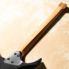 strandberg Boden Standard NX 6 Plini Mirage_6