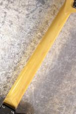 Fender 【ペイズリーテレキャスター】Made in Japan LTD Telecaster Black Paisley #JD25030143【3.50kg】_9