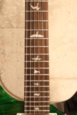 Paul Reed Smith [PRS] 【3.63kg】SE Custom 24 -Emerald Green- #CTI H010689【ポイント付与対象外商品】_5