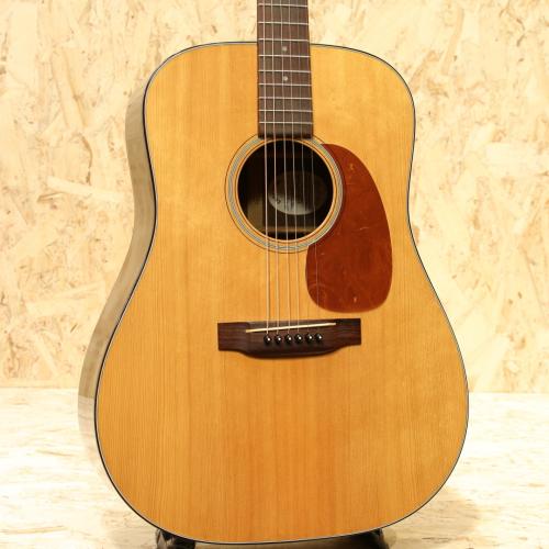 Martin D-21 150th Anniversary 1983