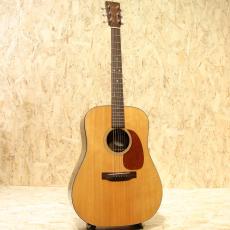 Martin D-21 150th Anniversary 1983_3