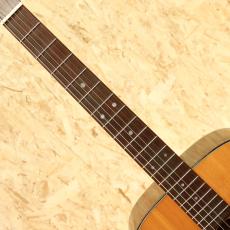 Martin D-21 150th Anniversary 1983_6