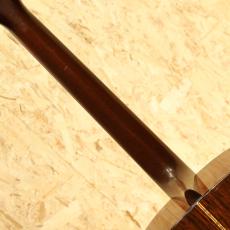 Martin D-21 150th Anniversary 1983_7