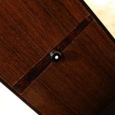 Martin D-21 150th Anniversary 1983_10