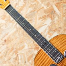 Acoustic World Square Neck Resonator 2010's_6