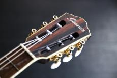 Ibanez TOD10N TKF エレガット Tim Henson Signature 　セール期間限定価格_2
